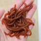 🎣 50% RABATT!  Weichköder Regenwurm – Garnelenduft, 50/100er Pack ✨
